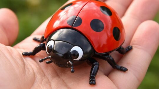 La figurine coccinelle en plastique à collectionner en ligne