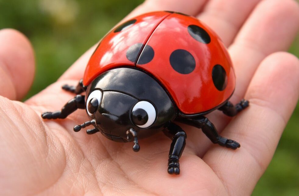 La figurine coccinelle en plastique à collectionner en ligne